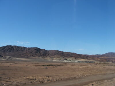 DSCF2131.JPG