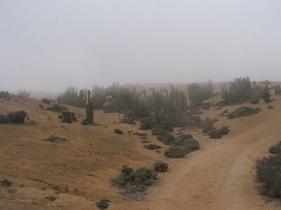 DSCF2170.JPG