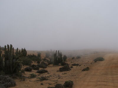 DSCF2171.JPG