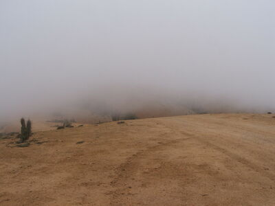 DSCF2172.JPG