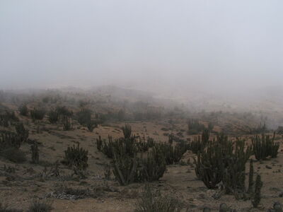 DSCF2192.JPG