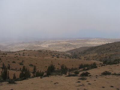 DSCF2193.JPG