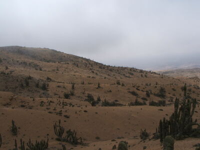 DSCF2198.JPG
