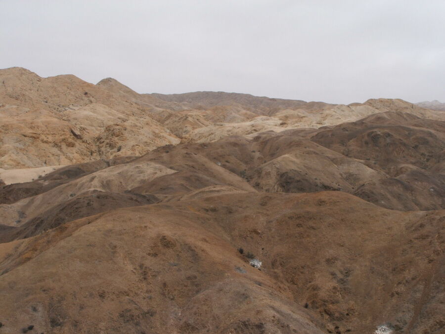 DSCF2336.JPG