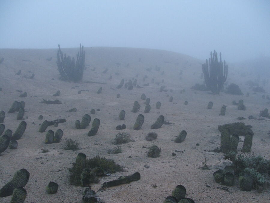 DSCF2413.JPG
