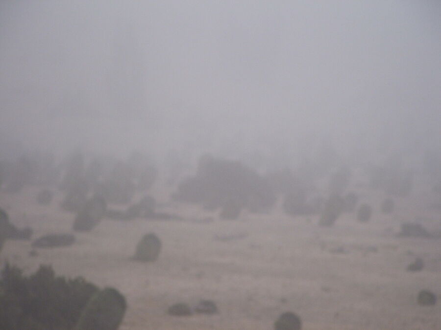 DSCF2424.JPG