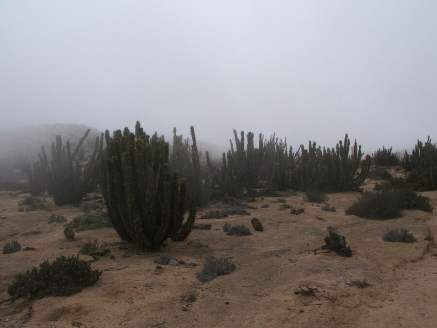 DSCF2428.JPG