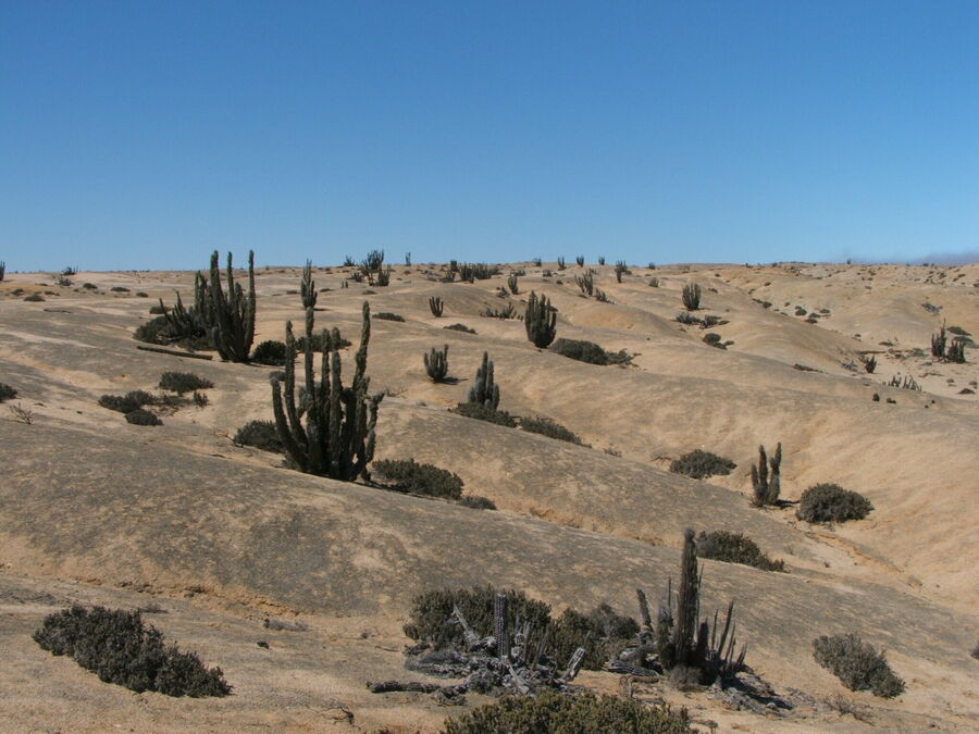 DSCF2432.JPG