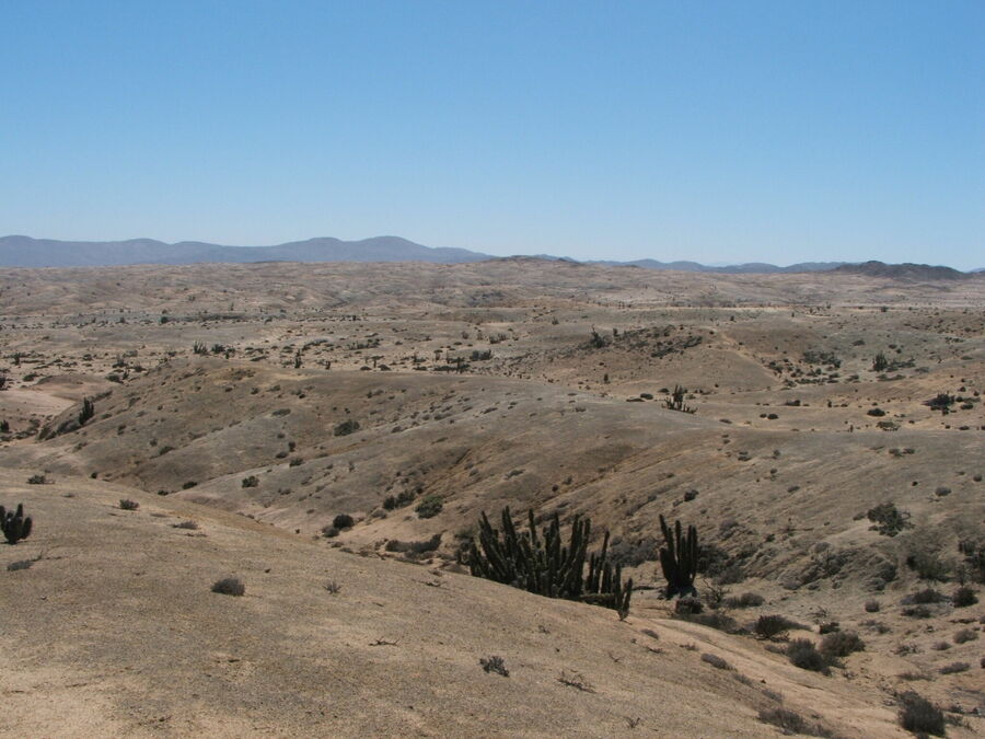 DSCF2436.JPG