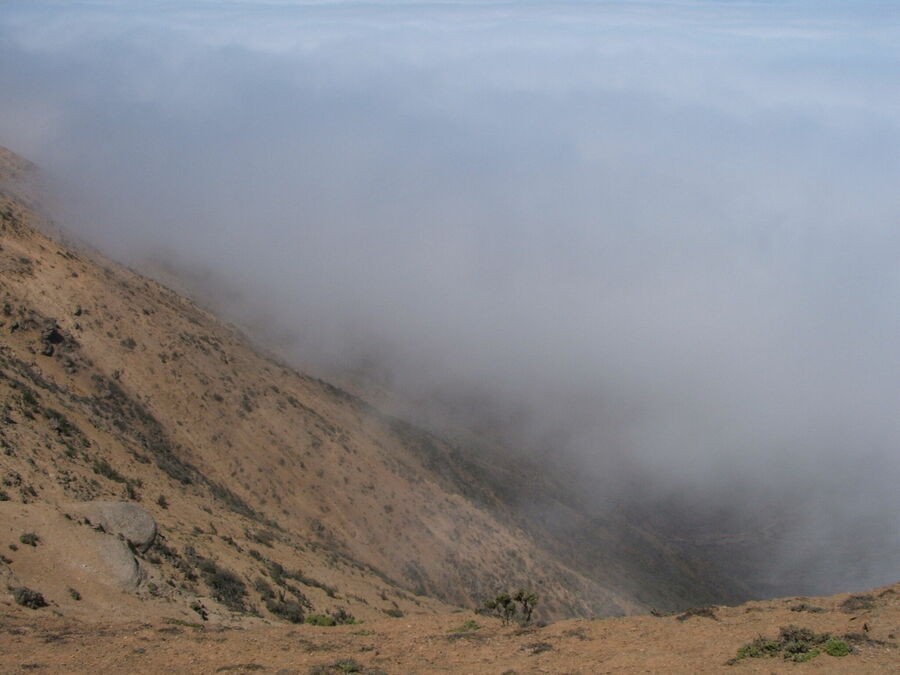 DSCF2441.JPG
