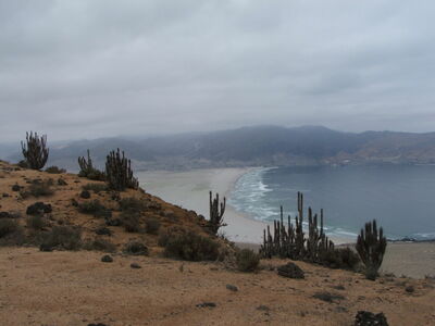 DSCF2463.JPG