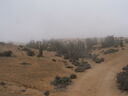 DSCF2170.JPG