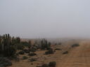 DSCF2171.JPG