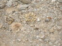 DSCF2188.JPG