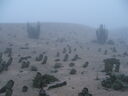 DSCF2413.JPG