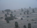 DSCF2420.JPG