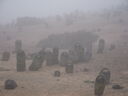 DSCF2423.JPG
