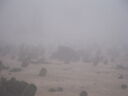 DSCF2424.JPG