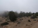 DSCF2428.JPG